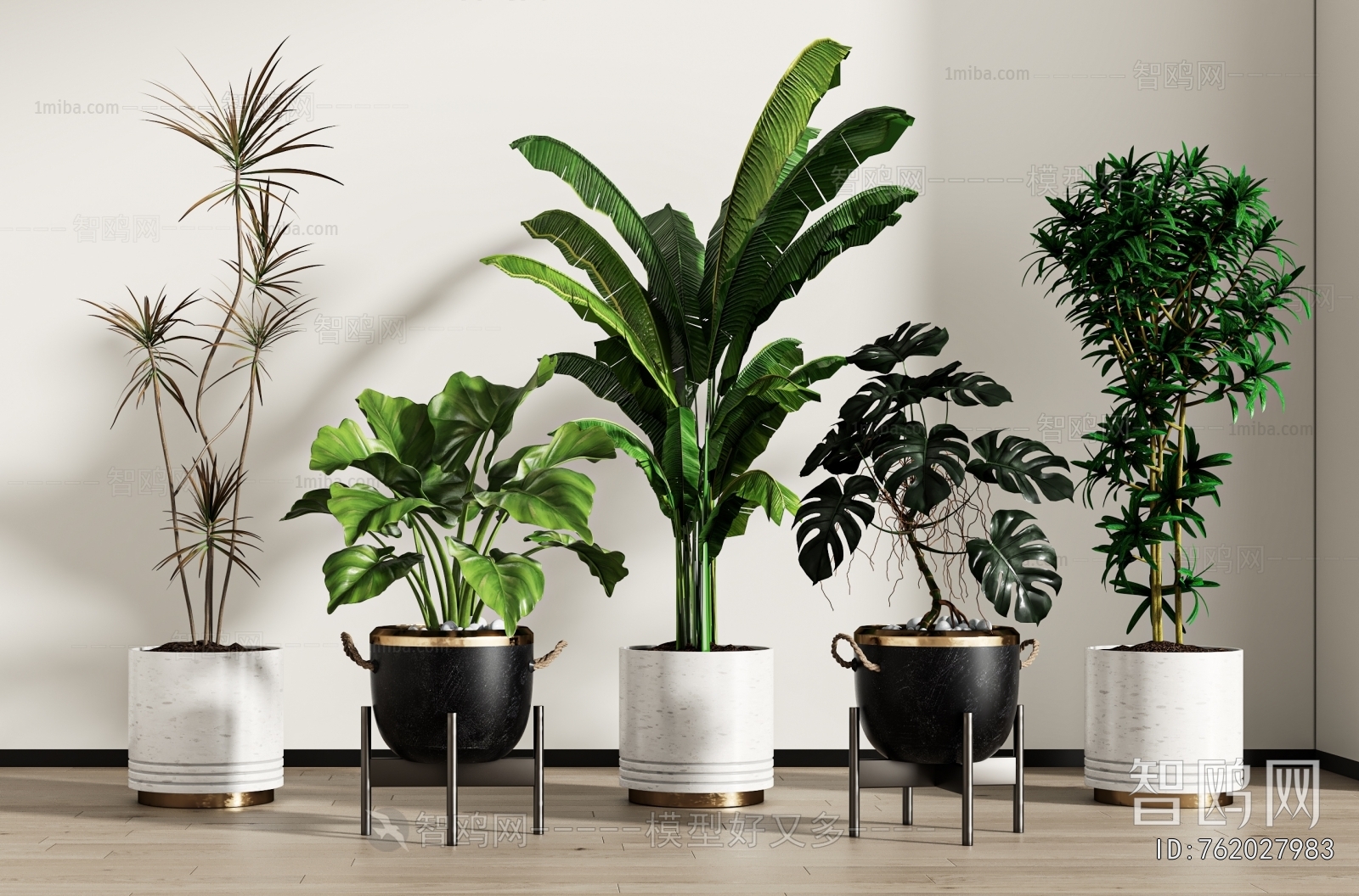 Modern Ground Green Plant Potted Plants