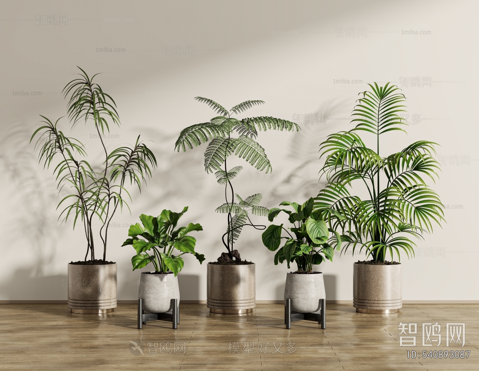 Modern Ground Green Plant Potted Plants