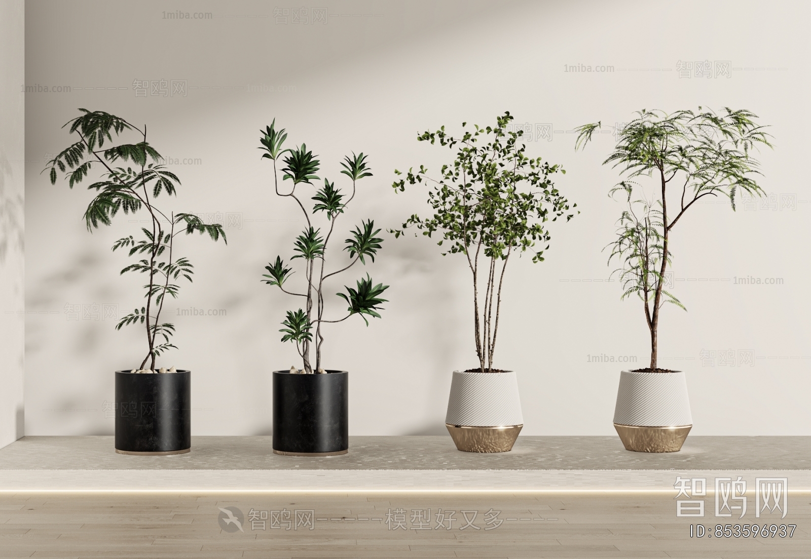 Modern Ground Green Plant Potted Plants