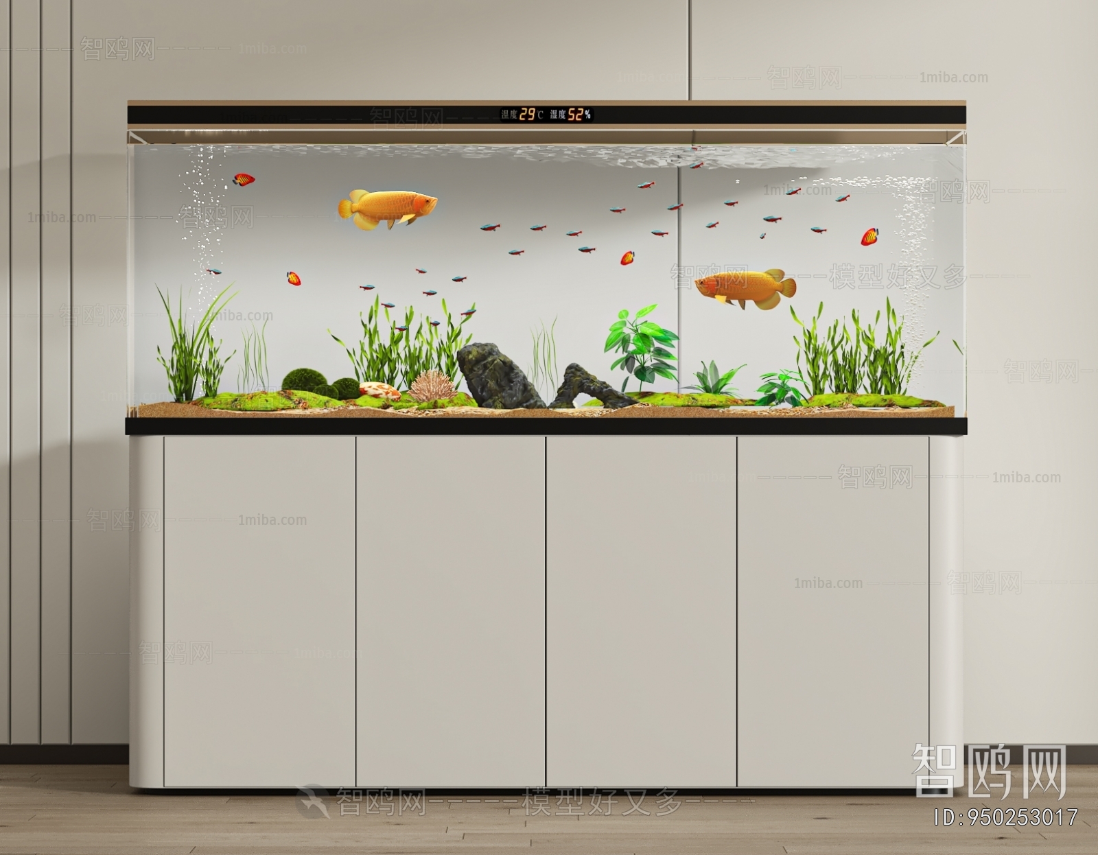 Modern Fish Tank