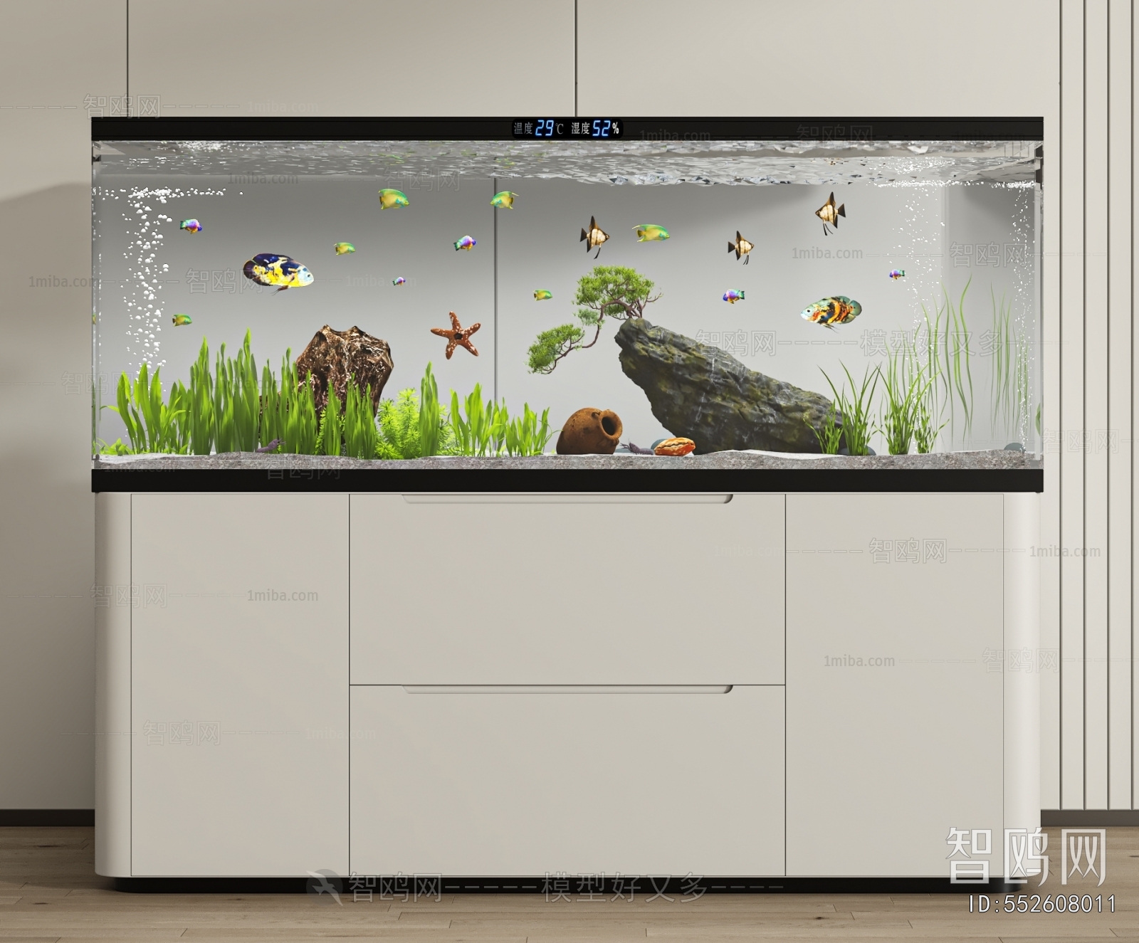 Modern Fish Tank