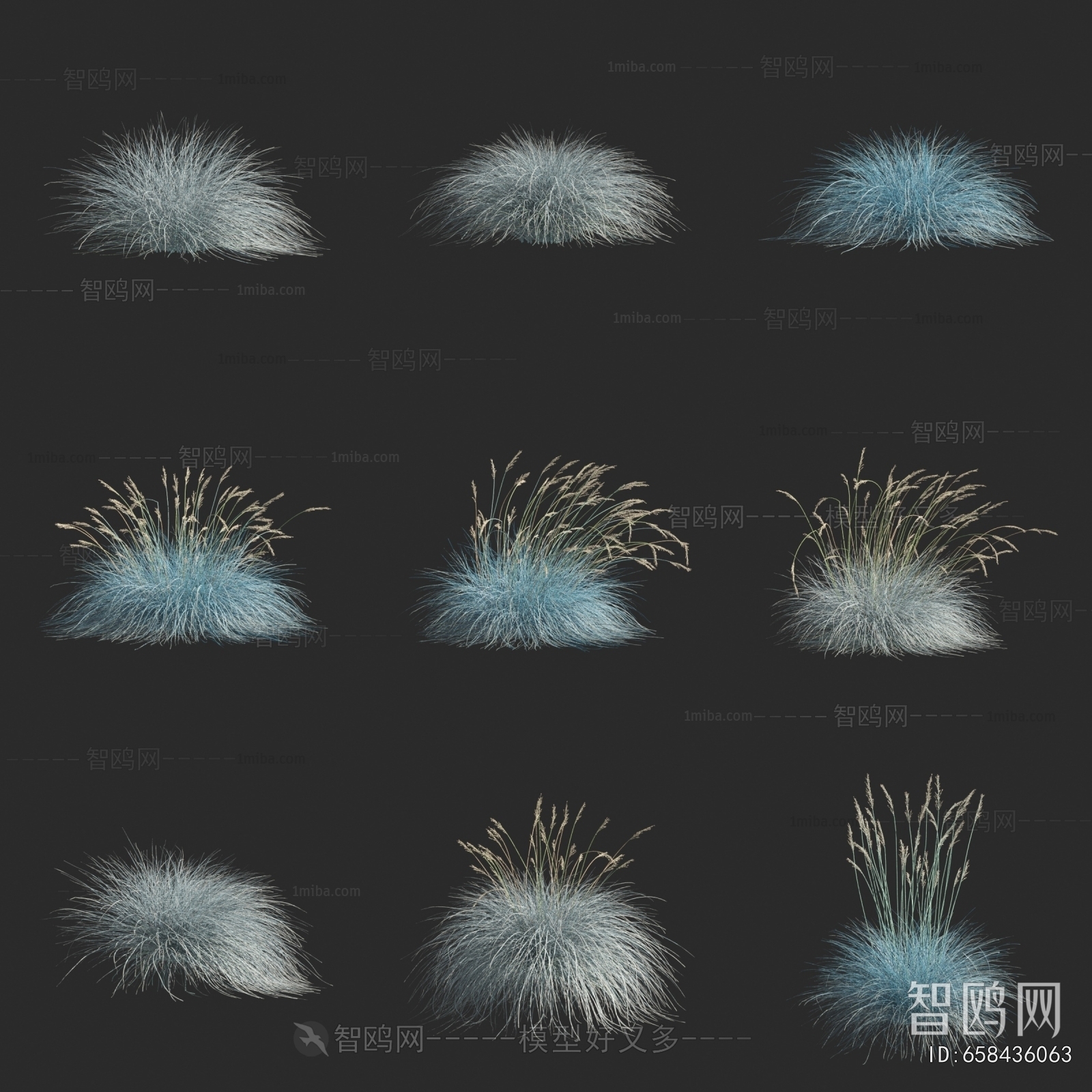 Modern Flowers And Grass