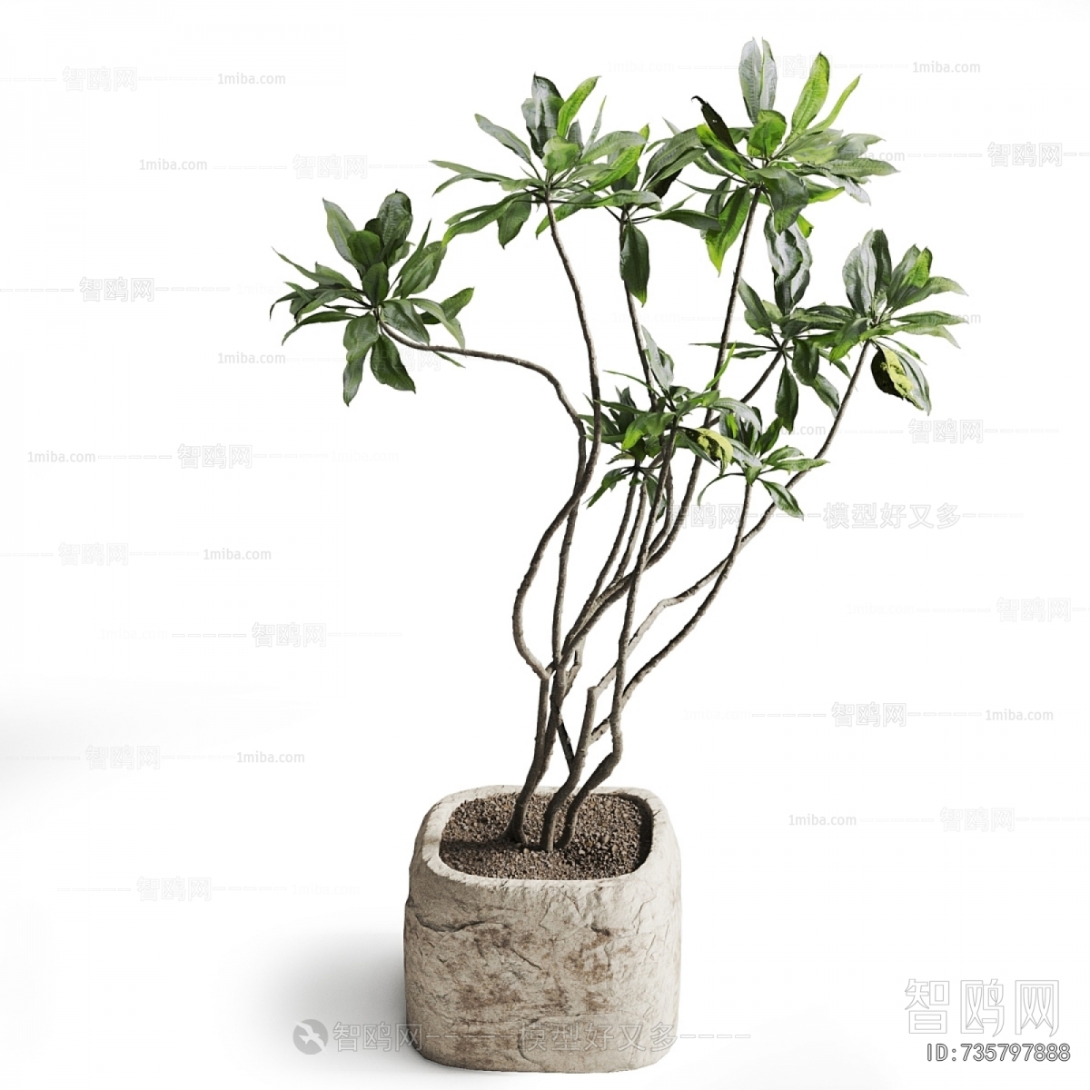 Wabi-sabi Style Ground Green Plant Potted Plants