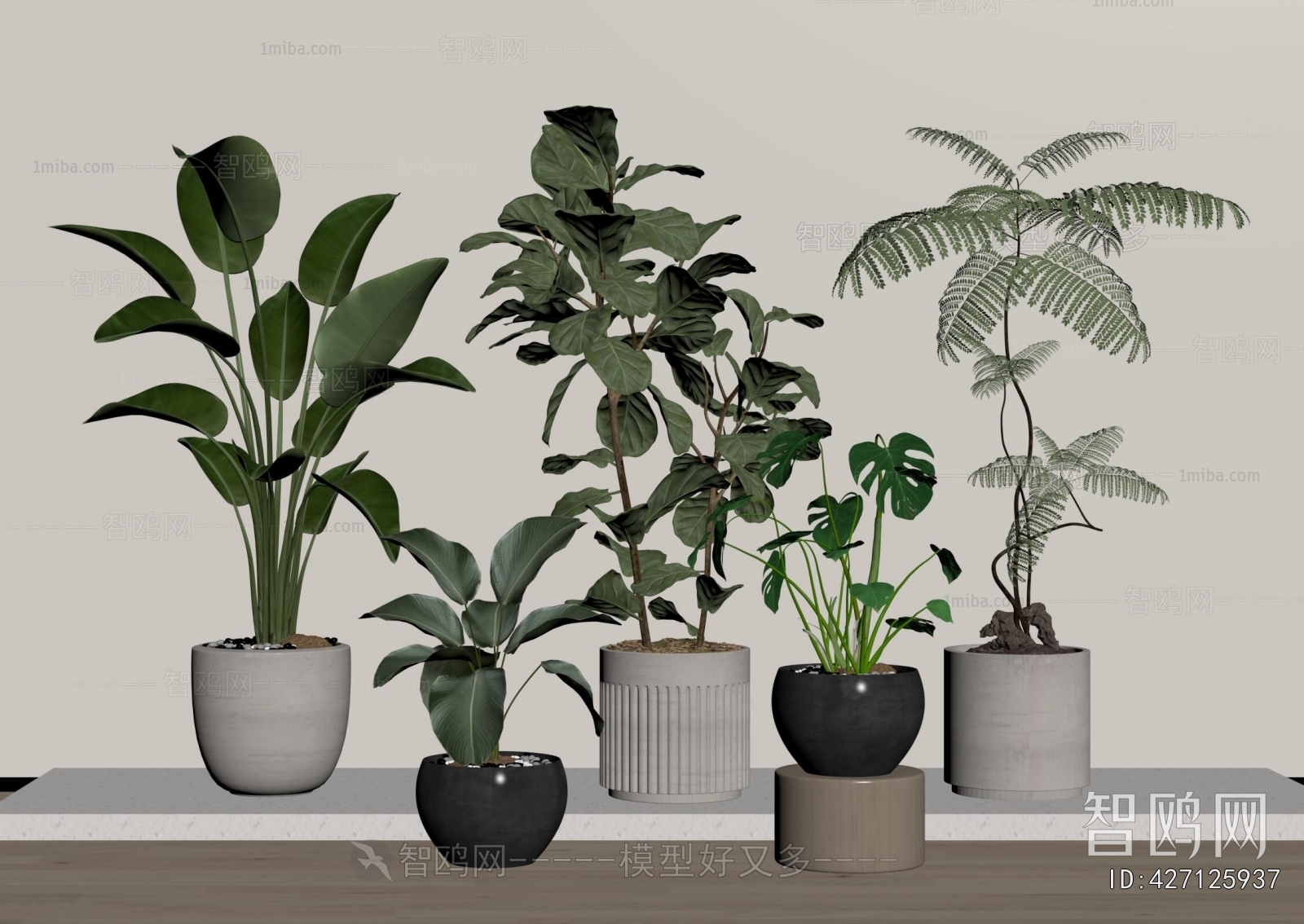 Modern Ground Green Plant Potted Plants