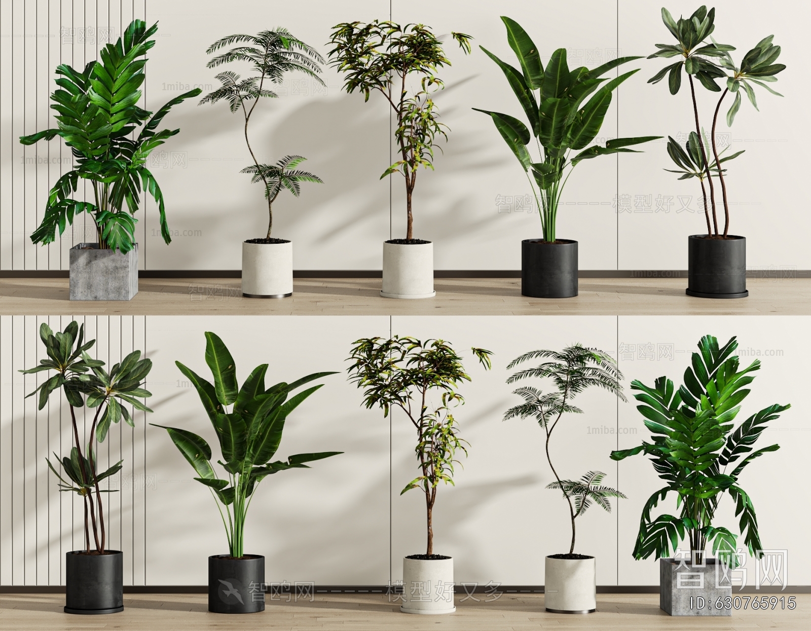 Modern Ground Green Plant Potted Plants