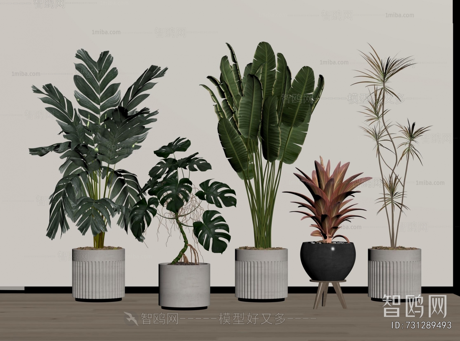 Modern Ground Green Plant Potted Plants