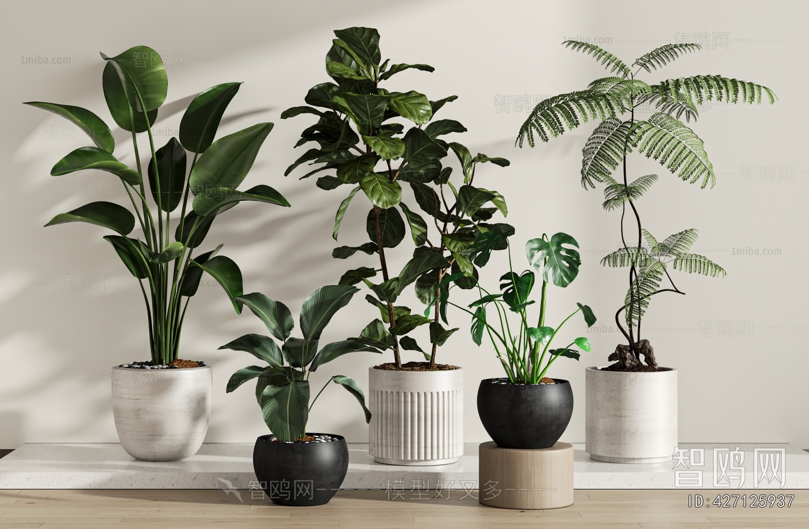 Modern Ground Green Plant Potted Plants