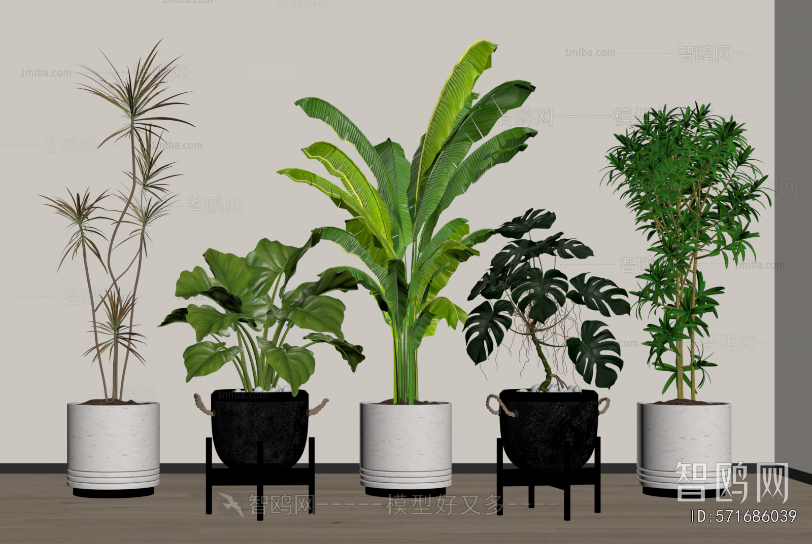 Modern Ground Green Plant Potted Plants