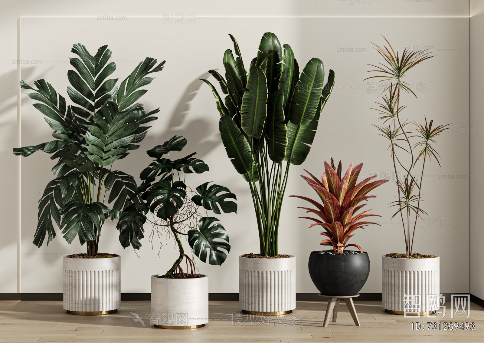 Modern Ground Green Plant Potted Plants