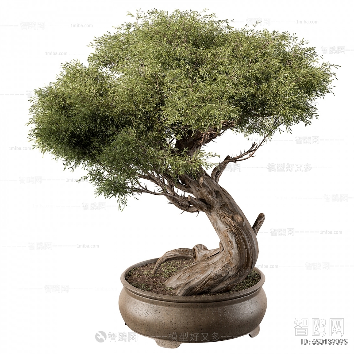 New Chinese Style Bonsai