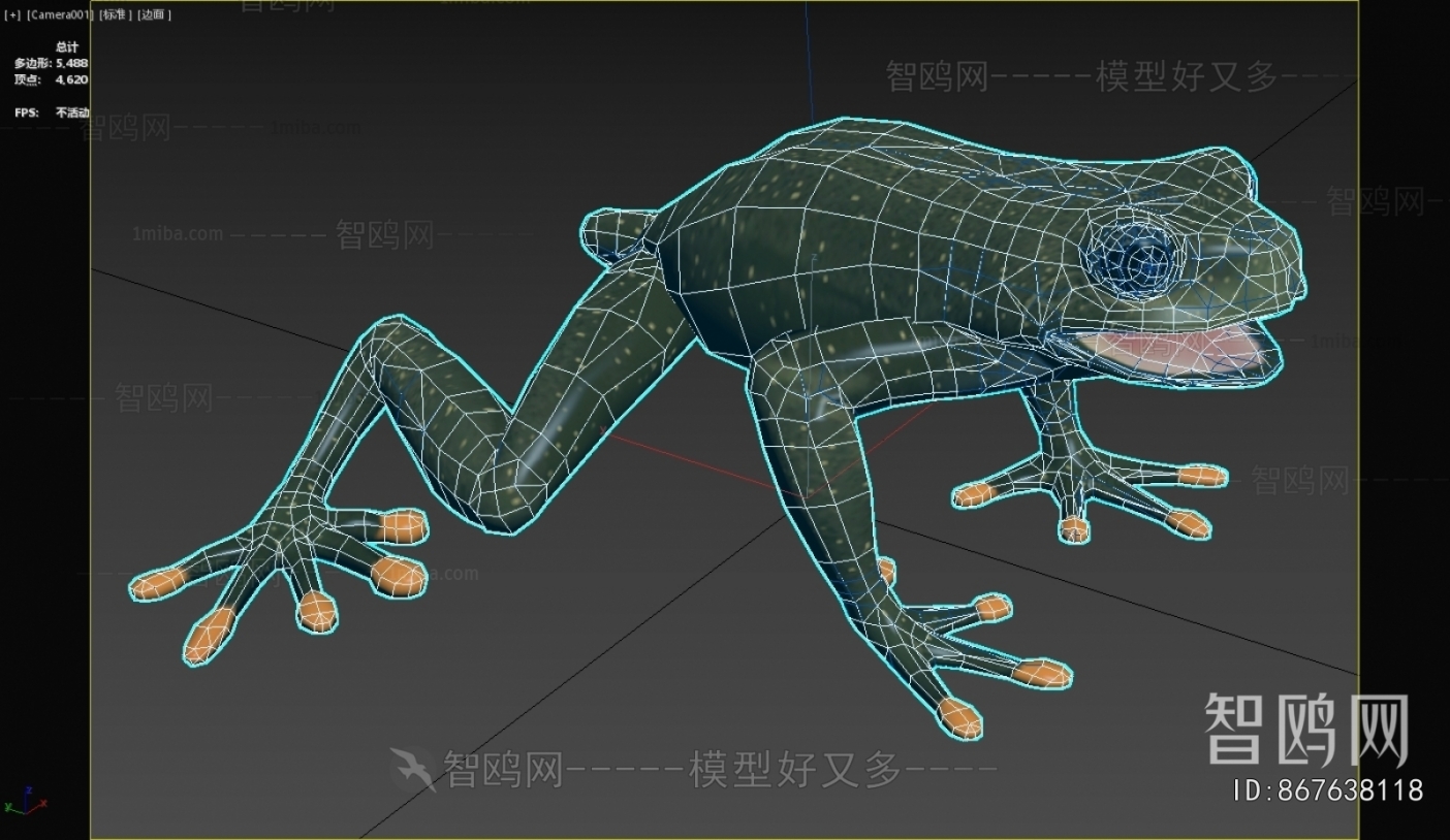 现代琳达 树蛙