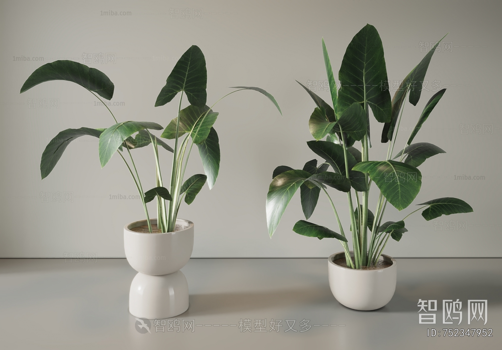 Modern Ground Green Plant Potted Plants