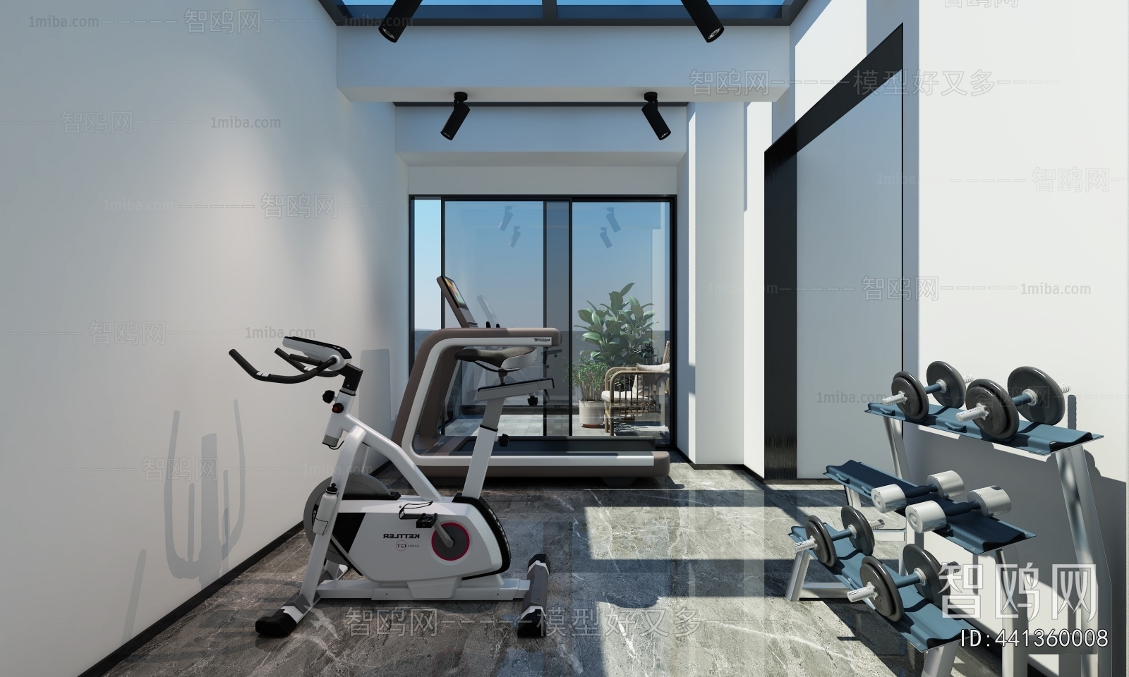 Modern Home Fitness Room