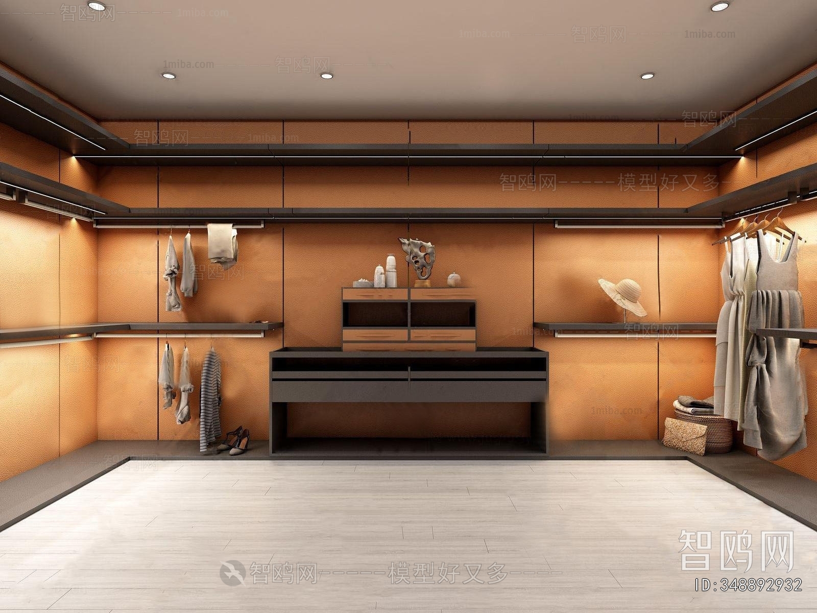 Modern Clothes Storage Area