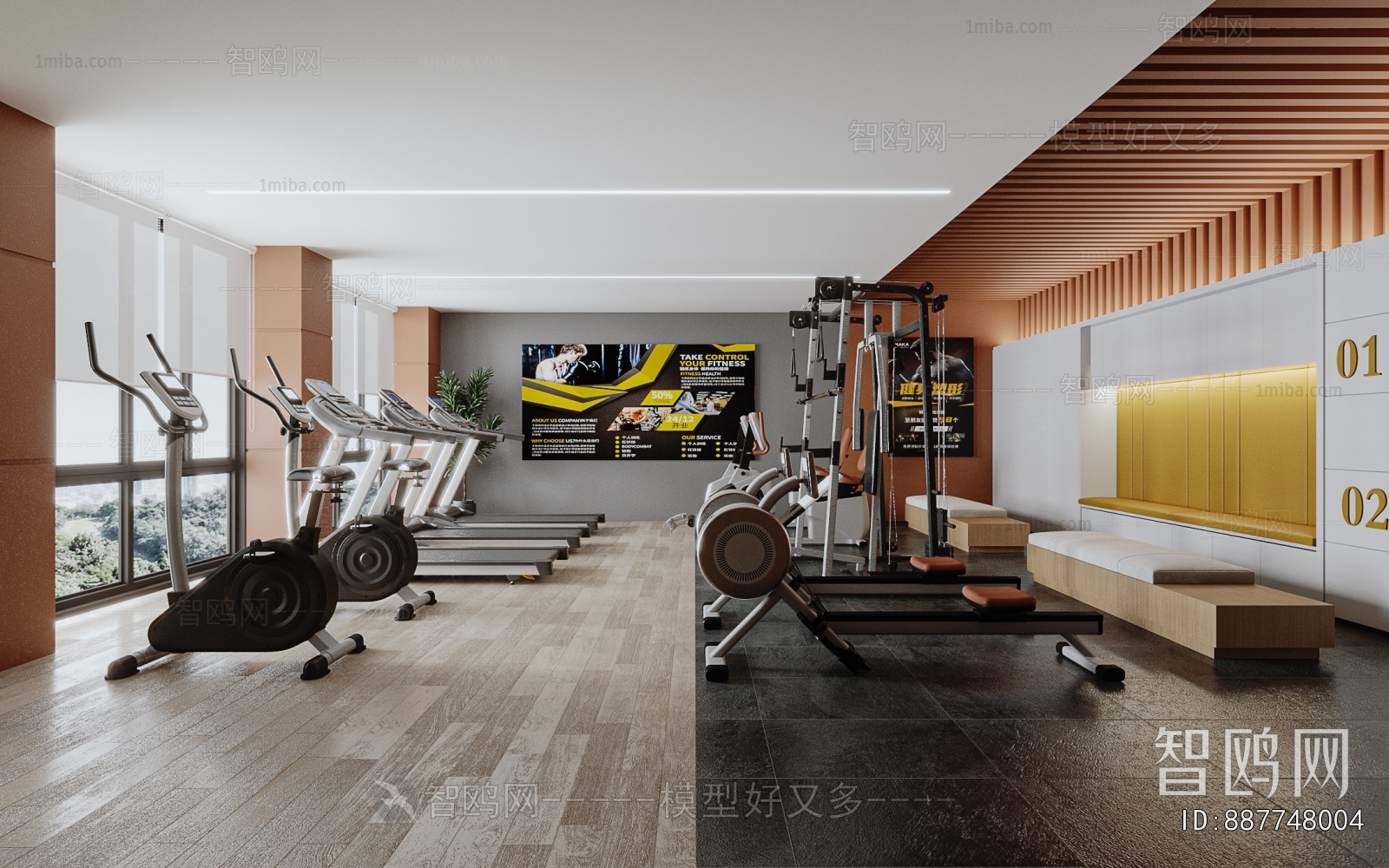 Modern Gym