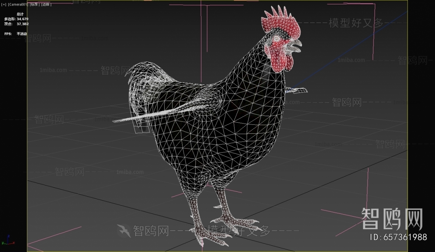 Modern Poultry Animal