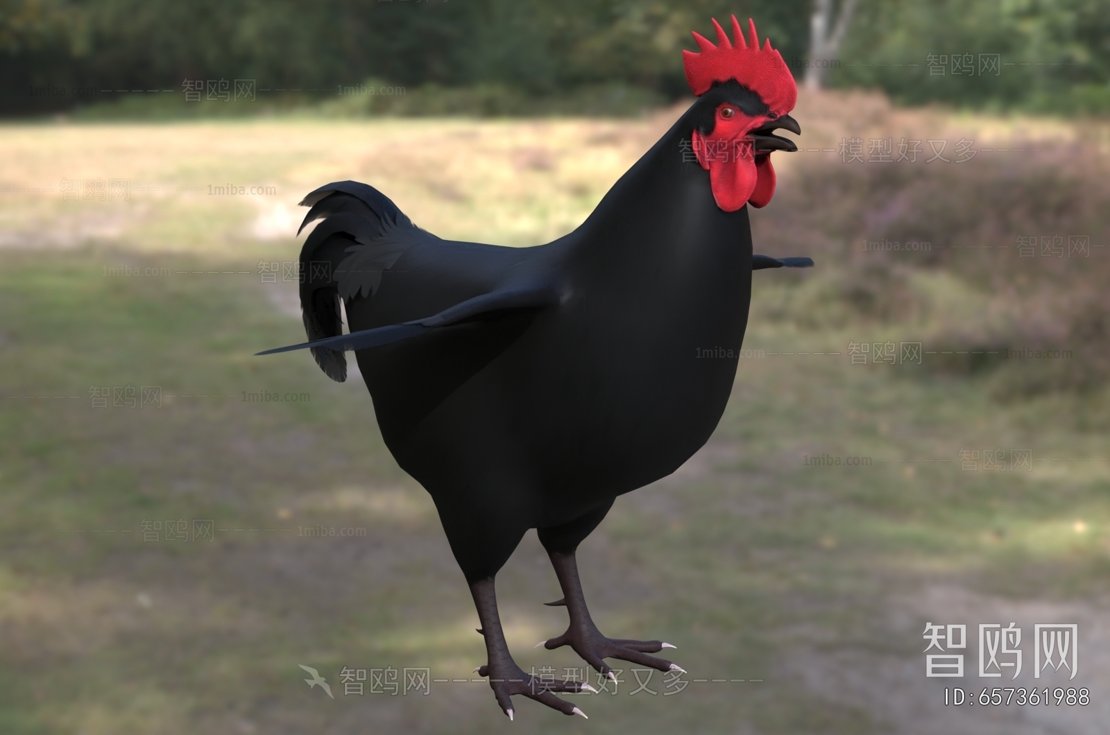 Modern Poultry Animal