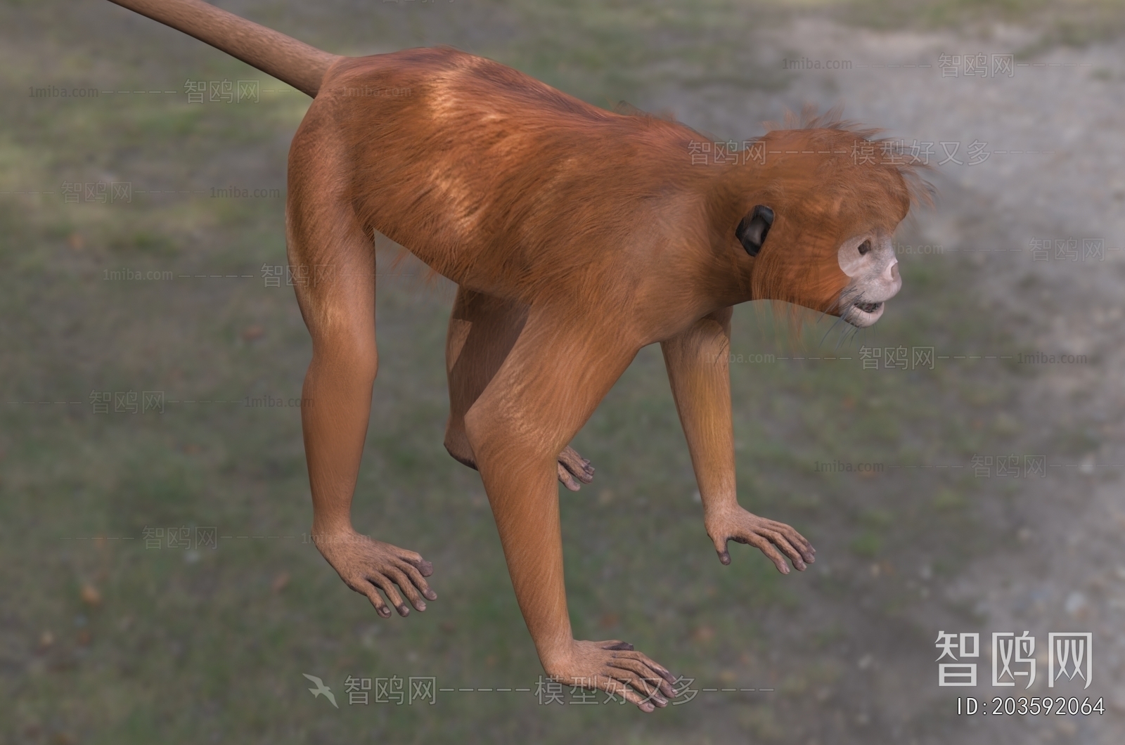 Modern Mammal