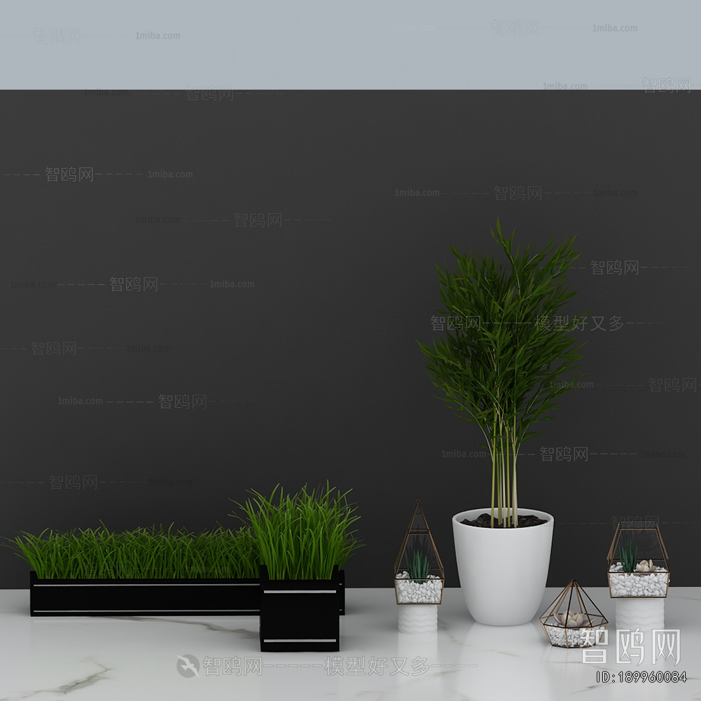 Modern Ground Green Plant Potted Plants