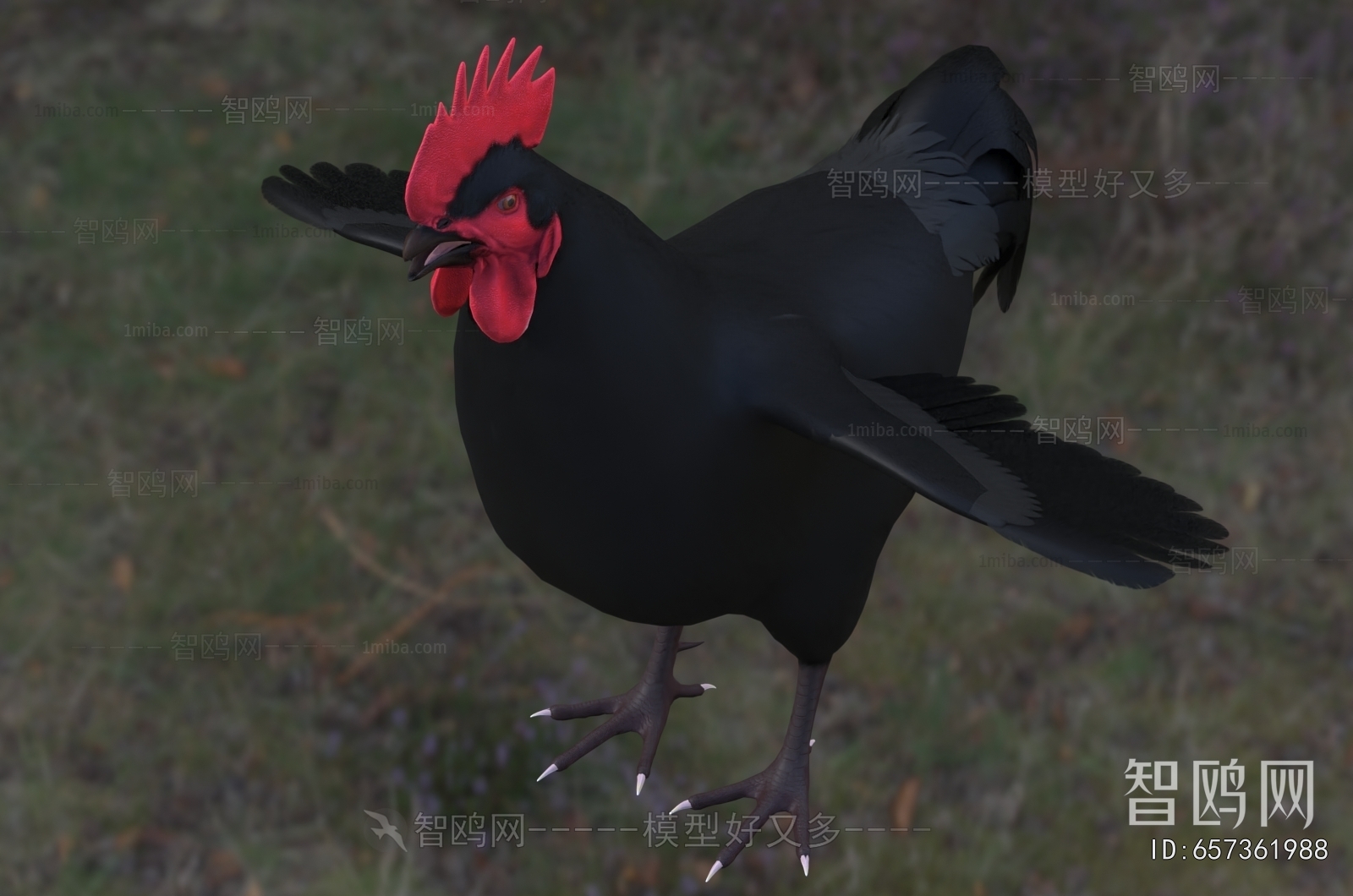 Modern Poultry Animal