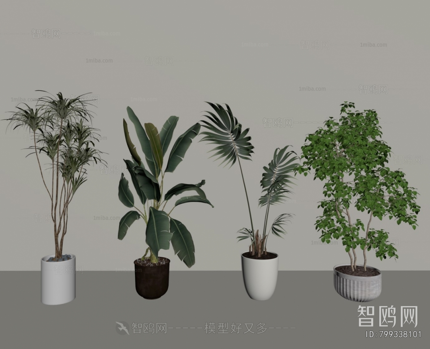 Modern Ground Green Plant Potted Plants