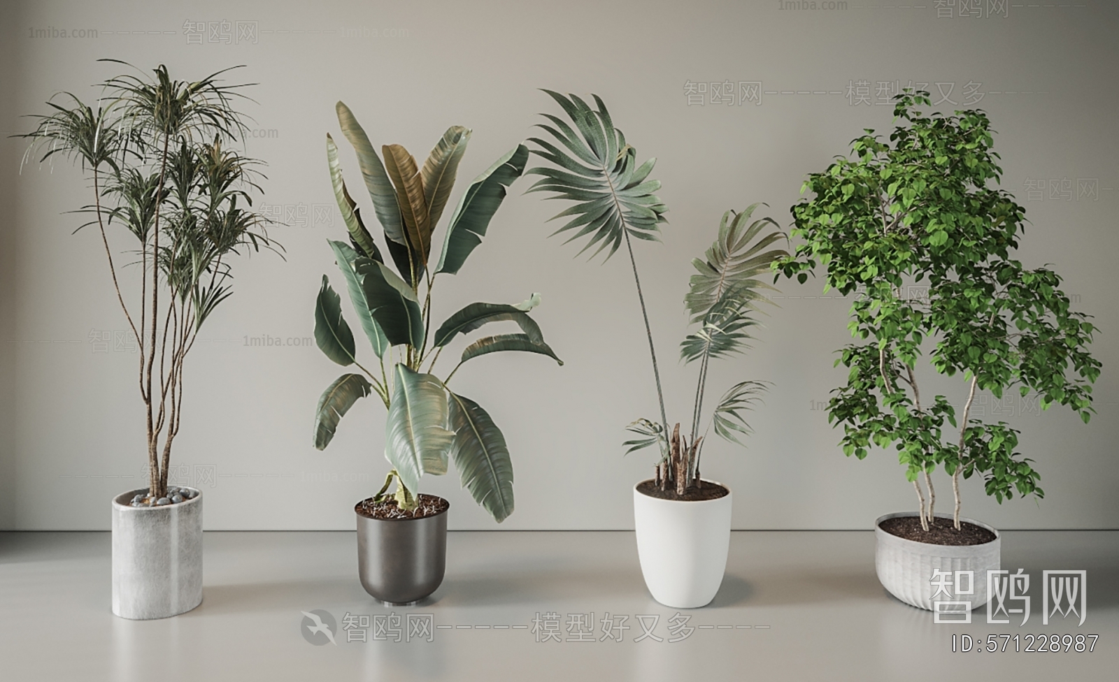 Modern Ground Green Plant Potted Plants