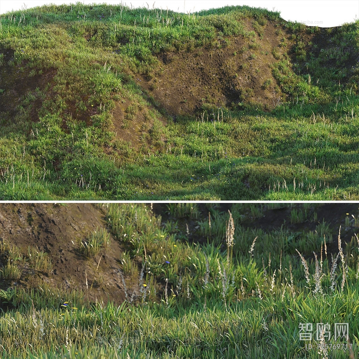 现代草坪 草地 山坡