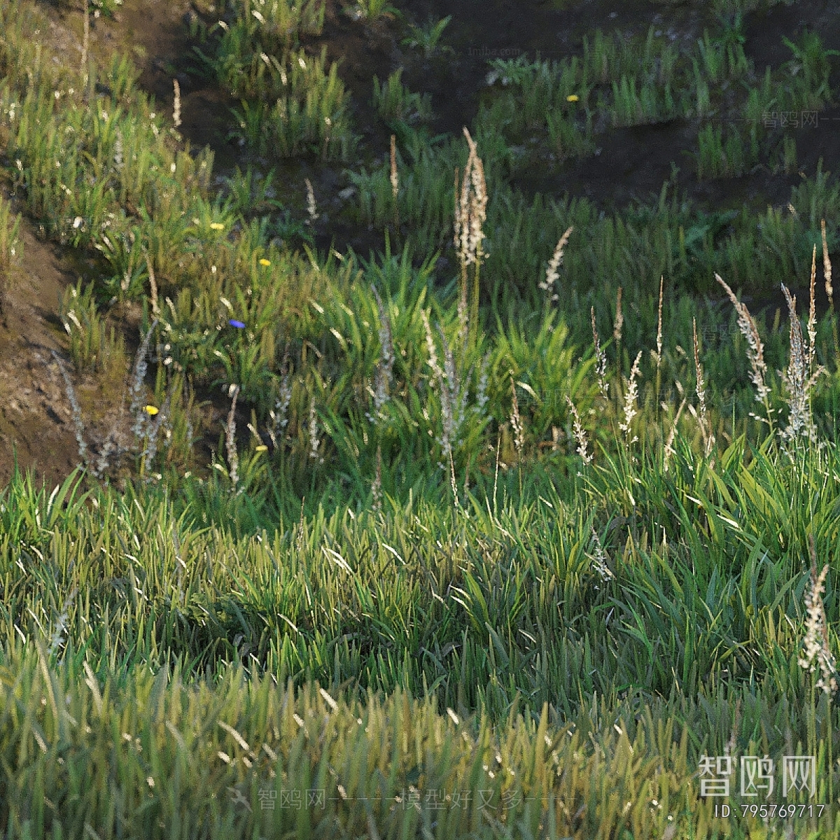 Modern Flowers And Grass