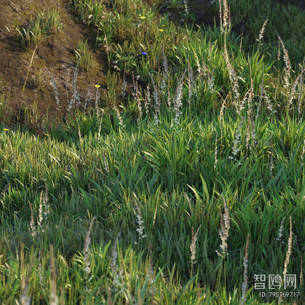 Modern Flowers And Grass