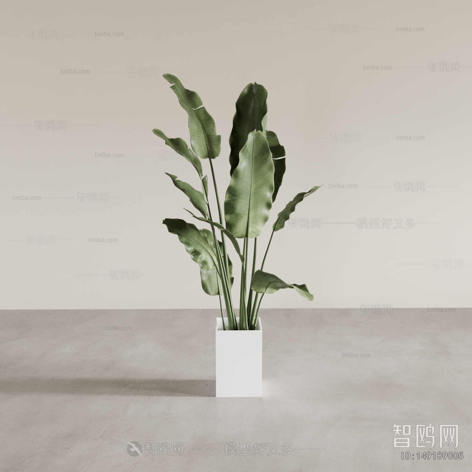 Modern Ground Green Plant Potted Plants