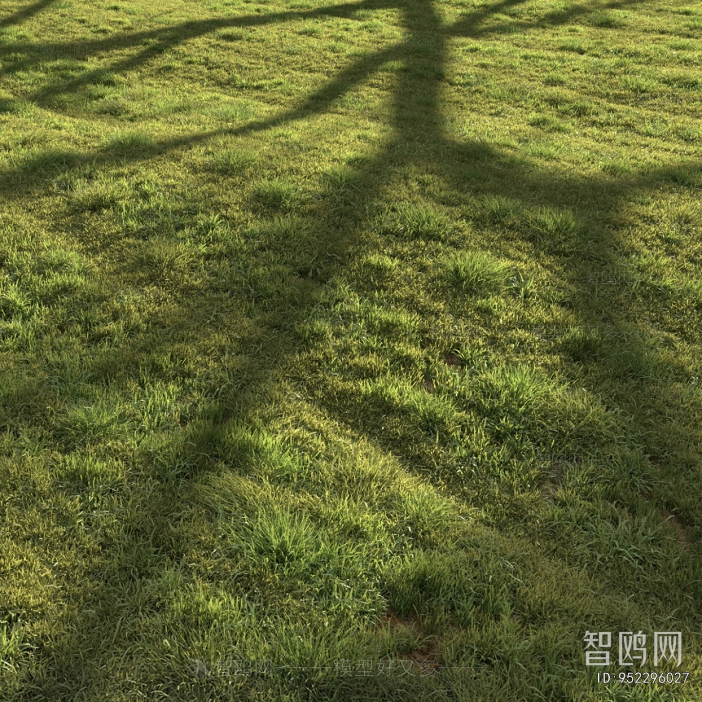 现代绿茵 草坪 草地