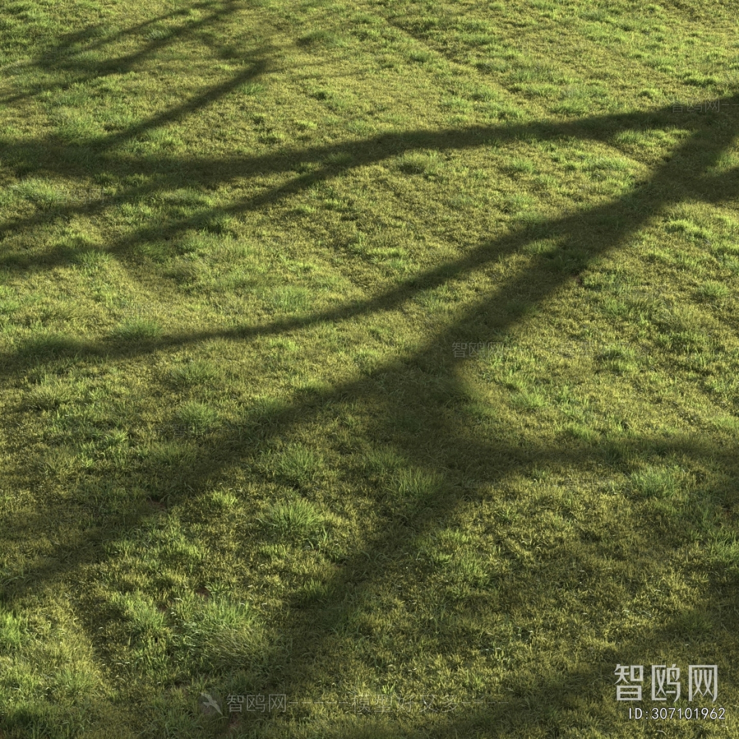 现代绿茵草坪草地