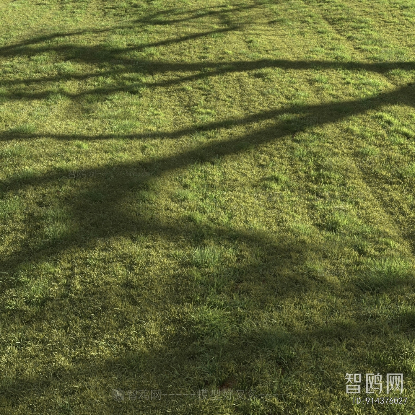 现代绿茵 草坪 草地