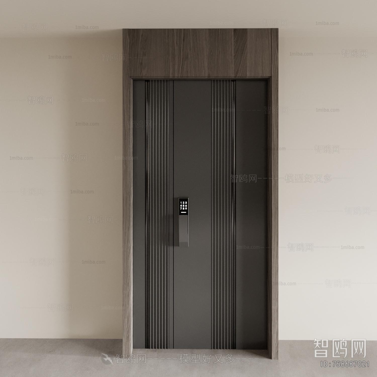 Modern Entrance Door