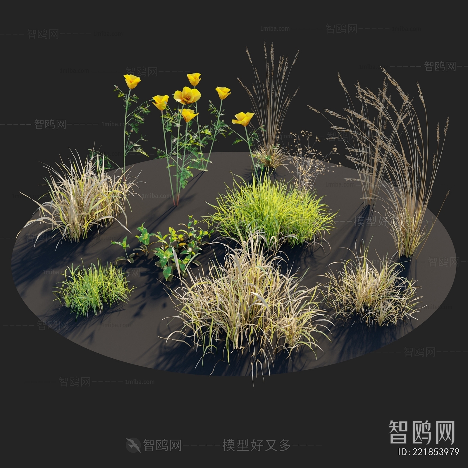 Modern Flowers And Grass