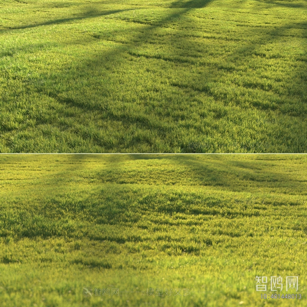 现代绿茵草坪草地