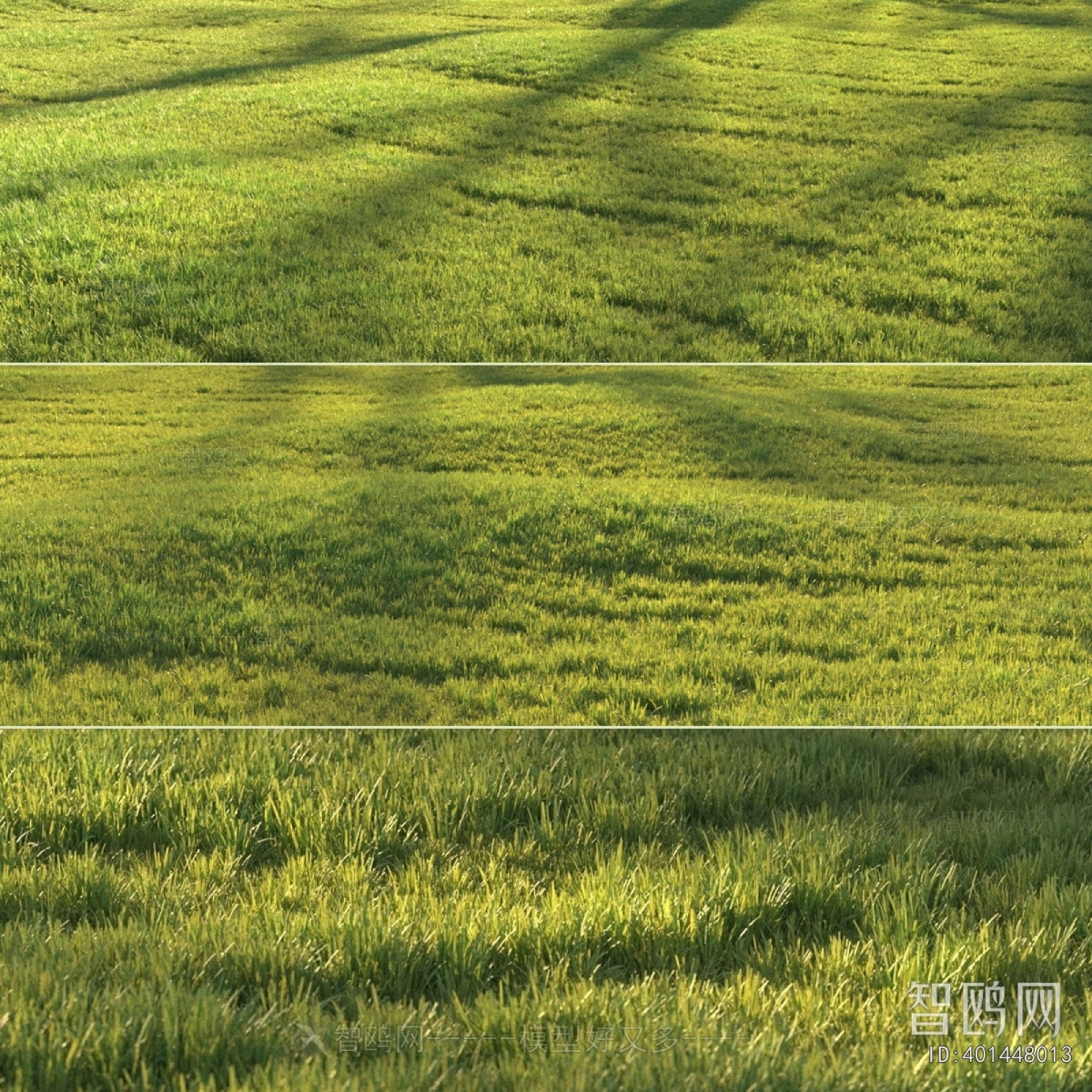 现代绿茵草坪草地