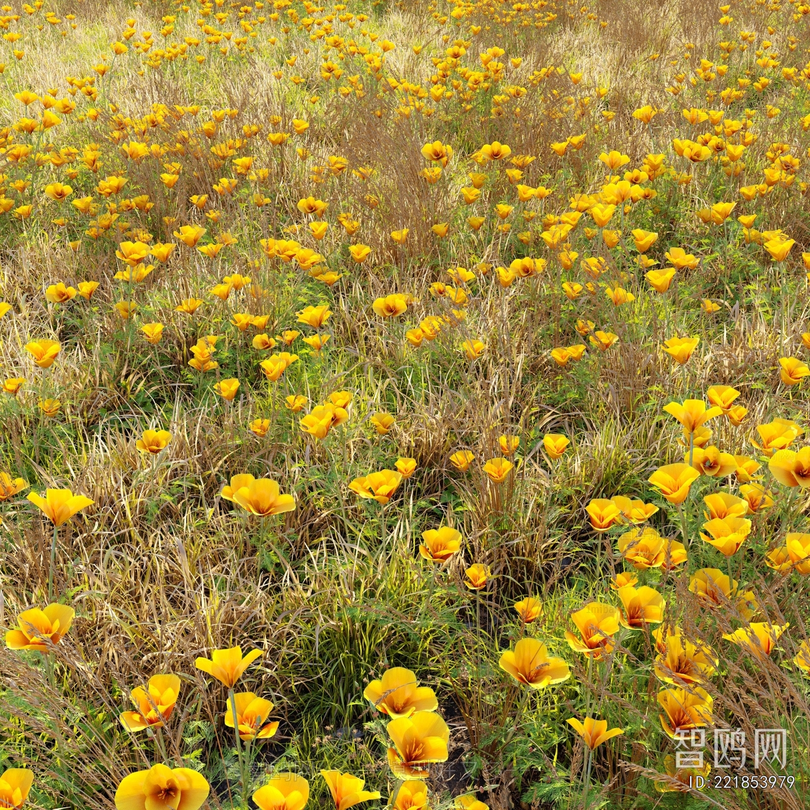 Modern Flowers And Grass