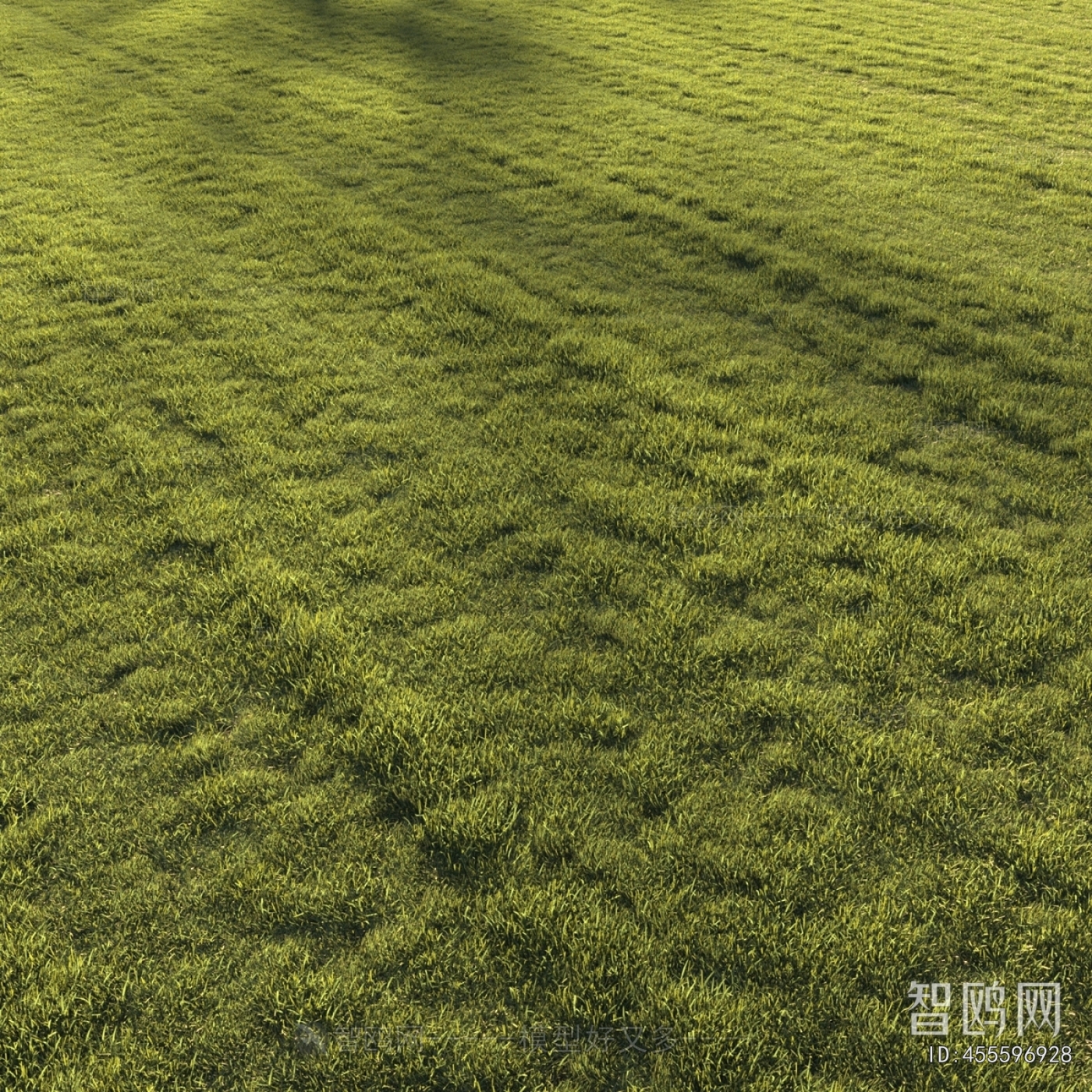 现代绿茵草坪草地