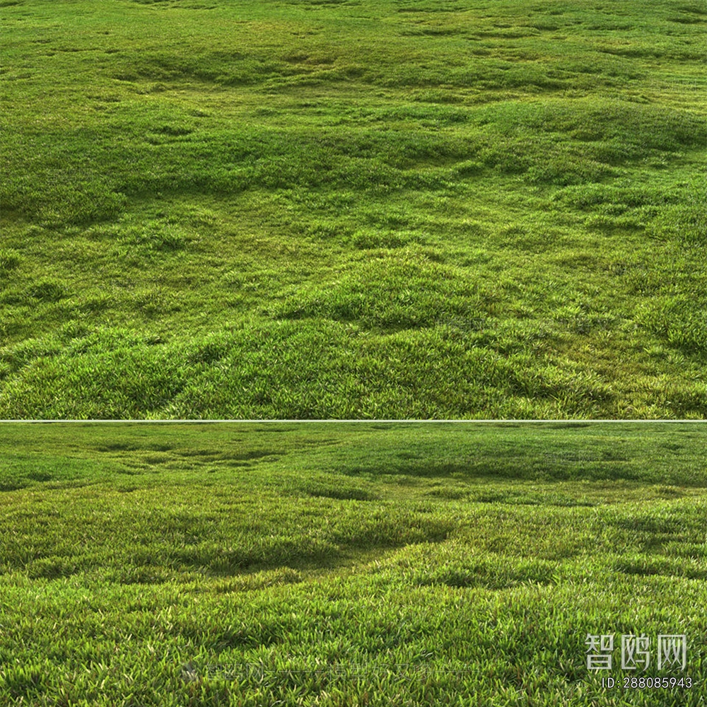 现代绿茵草坪草地