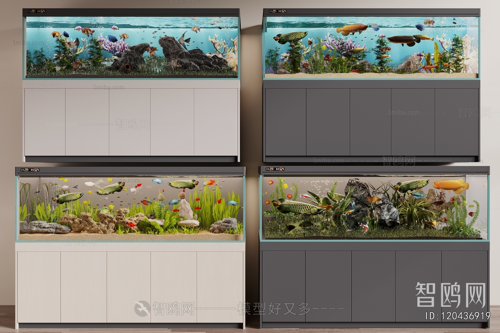 Modern Fish Tank