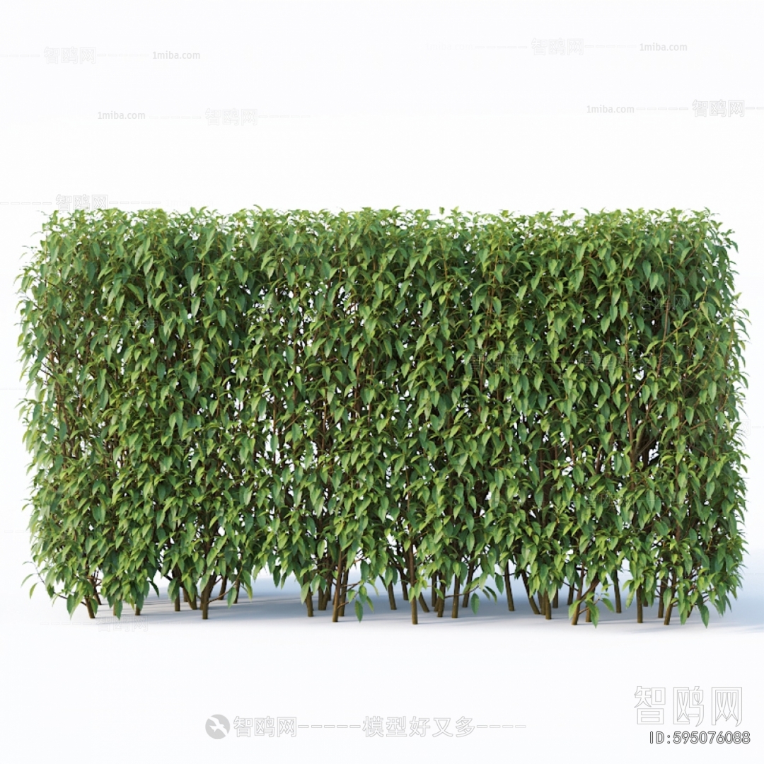 Modern Shrubbery