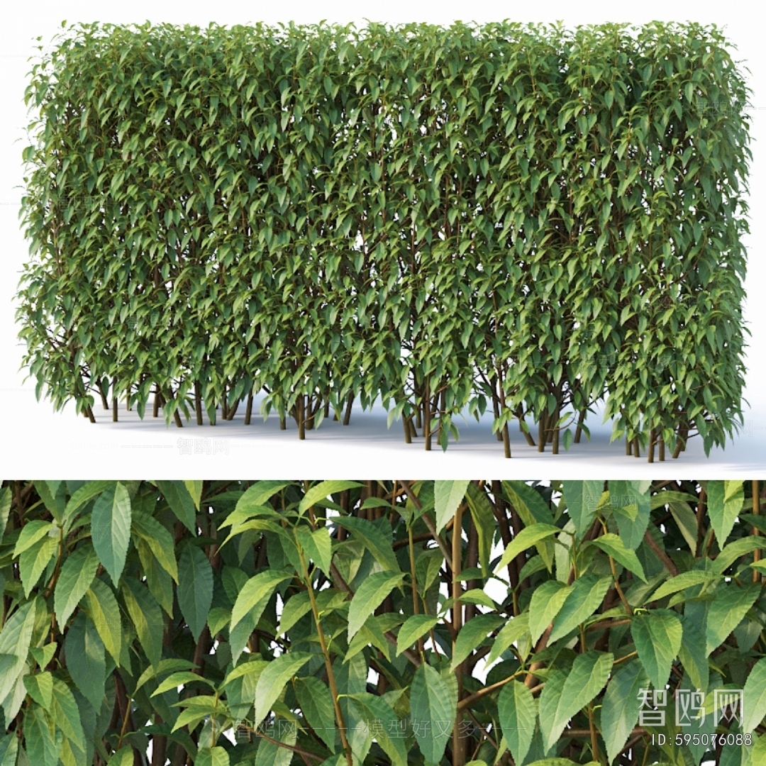 Modern Shrubbery