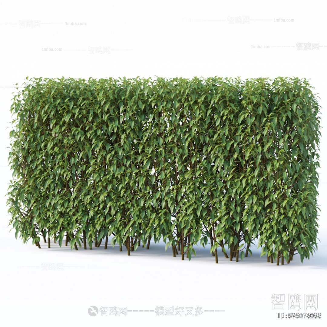 Modern Shrubbery