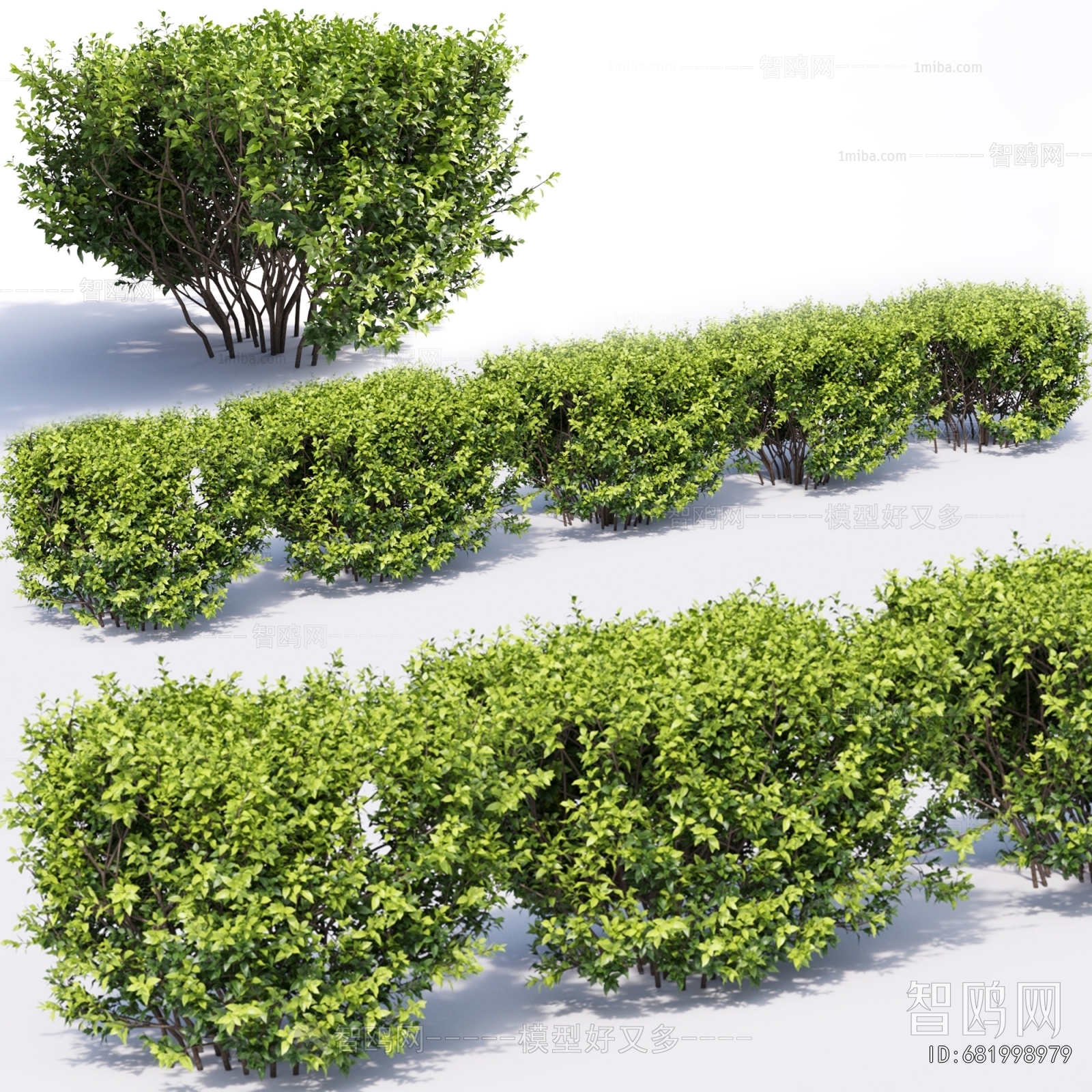 Modern Shrubbery