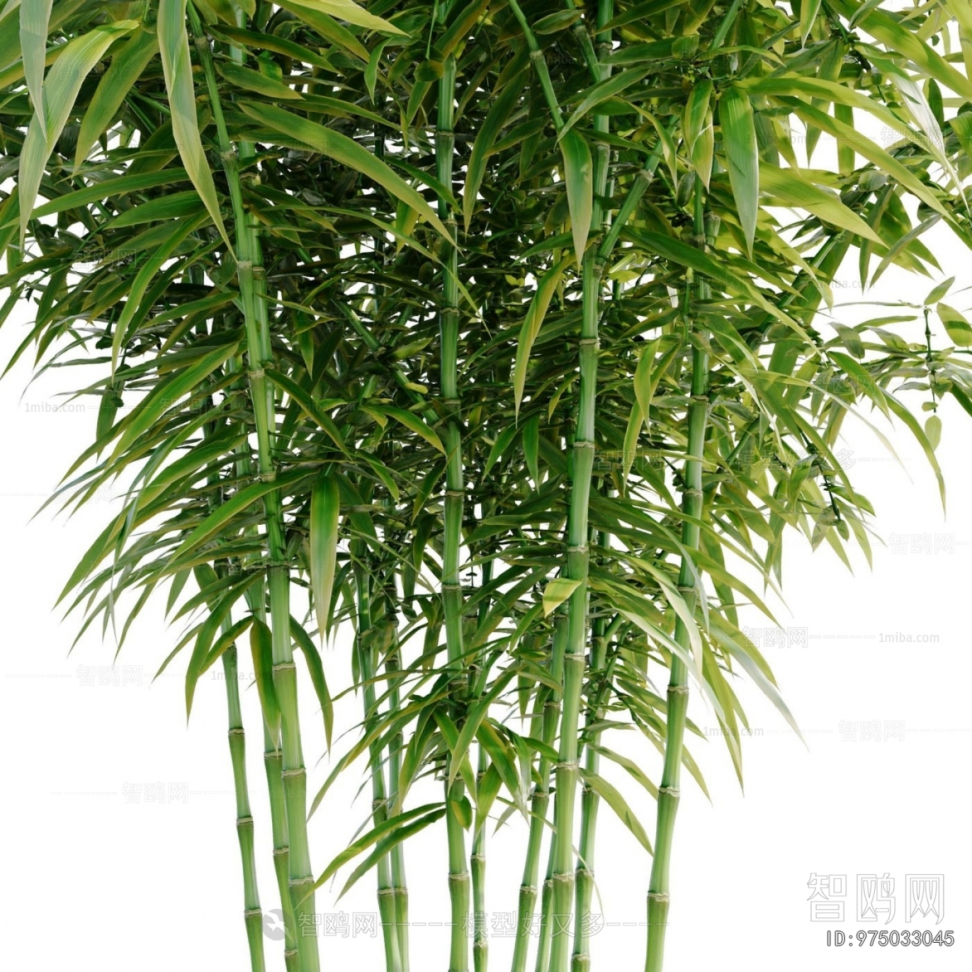 Modern Bamboo