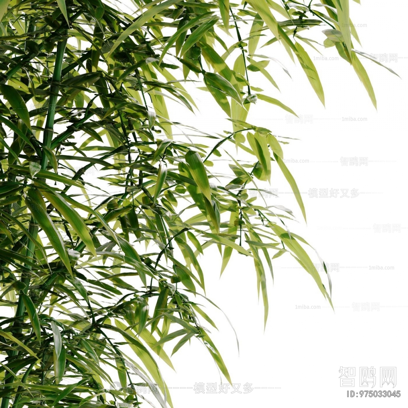 Modern Bamboo