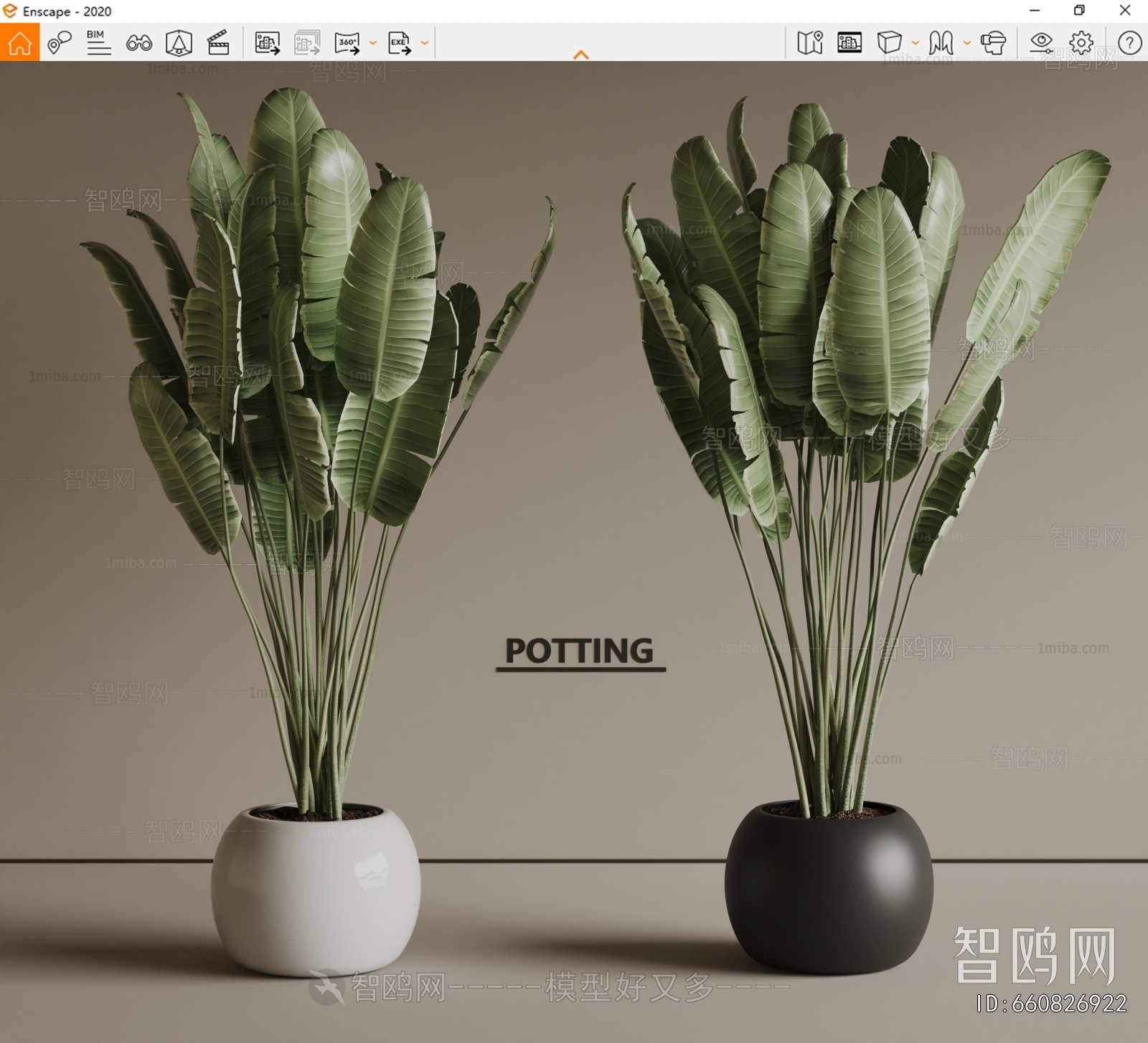 Modern Ground Green Plant Potted Plants