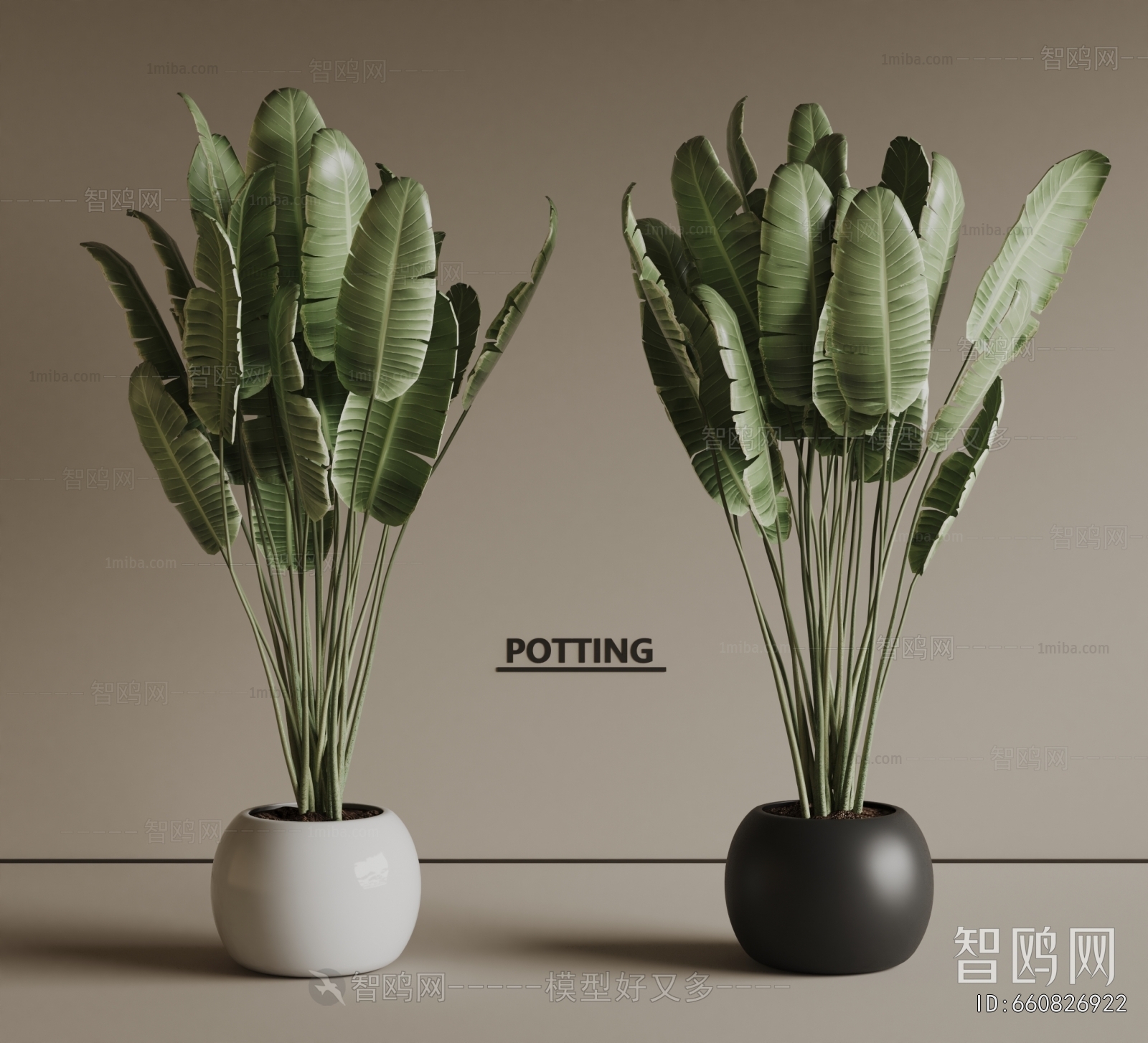 Modern Ground Green Plant Potted Plants