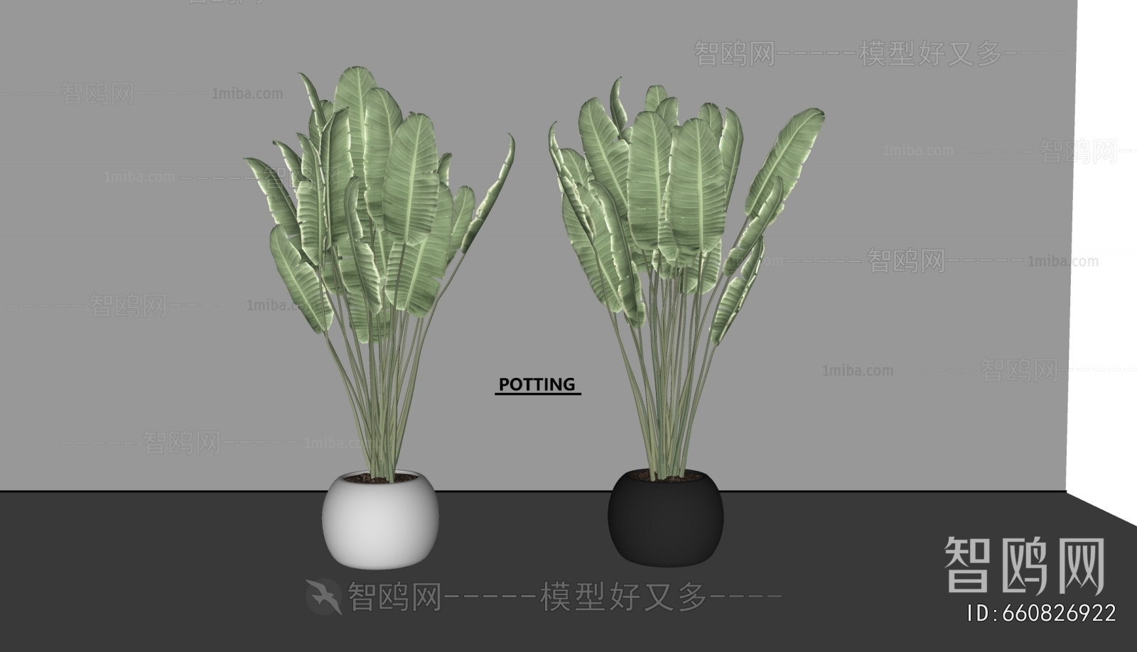 Modern Ground Green Plant Potted Plants